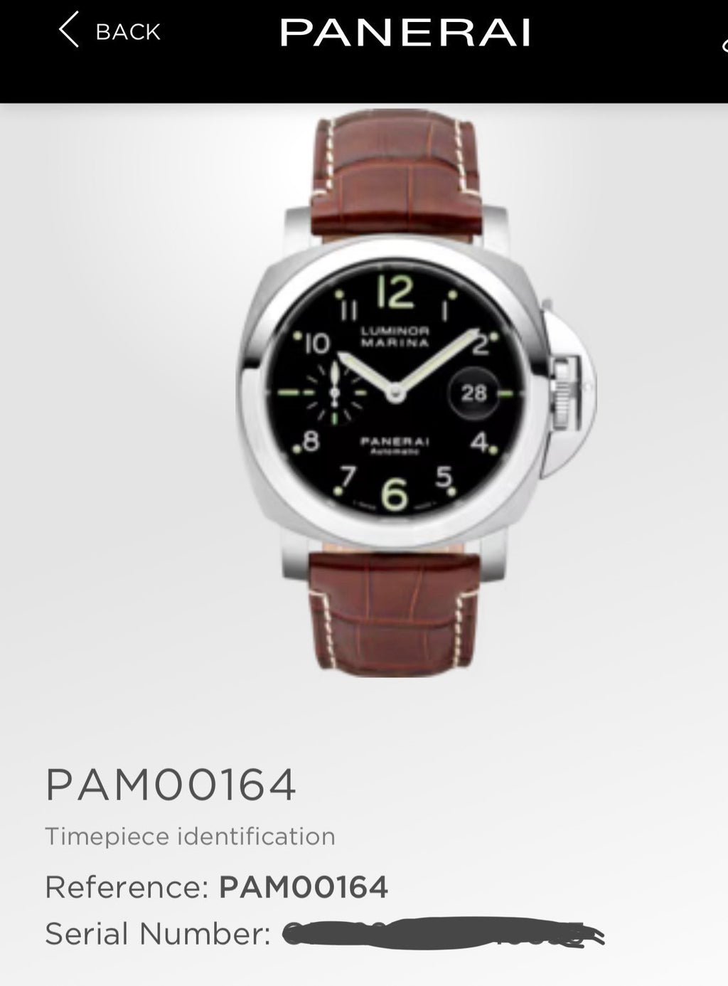 Panerai Luminor Men's Black Watch with Brown Leather Strap - PAM00164