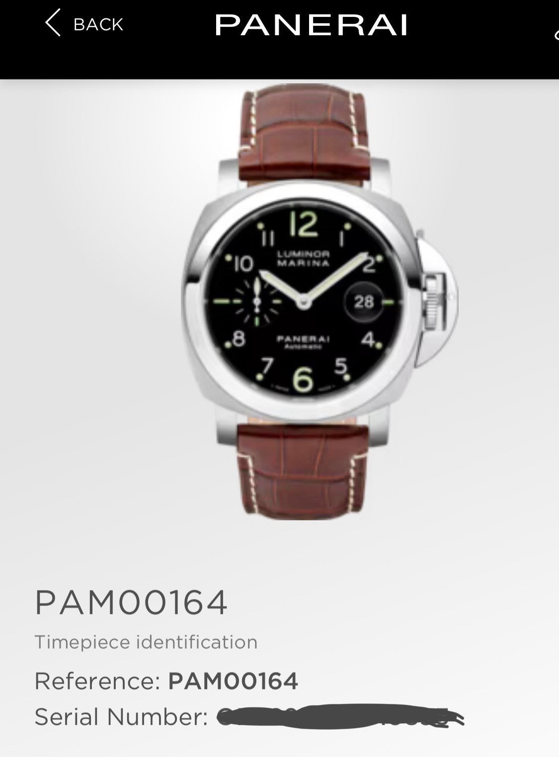 Panerai Luminor Men's Black Watch with Brown Leather Strap - PAM00164