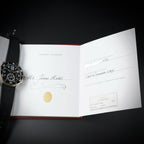 Wrist Flex Timepieces Cartier Calibre de Cartier Diver watch with its original stamped certificate and documentation